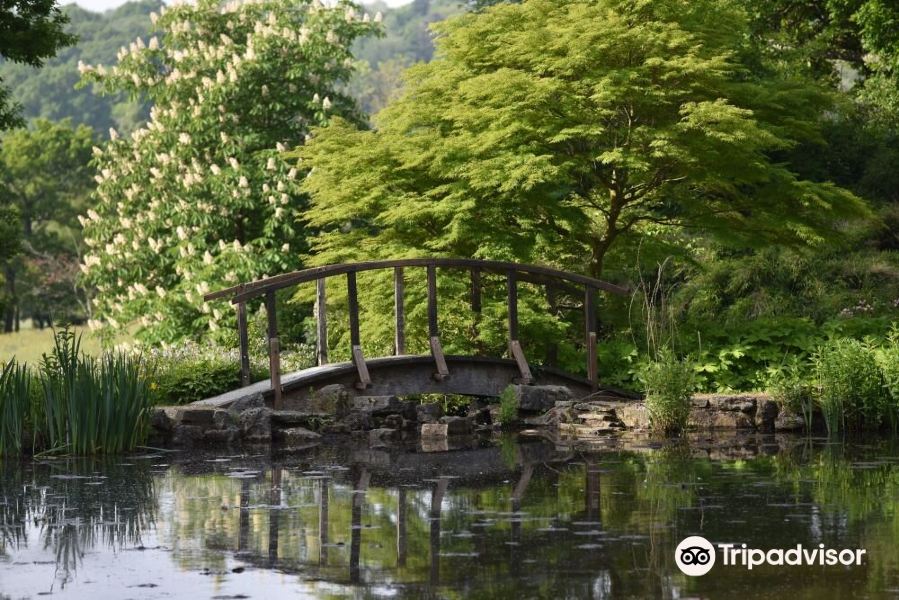 Furzey Gardens旅游景点图片