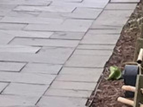 美国国家植物园的图片