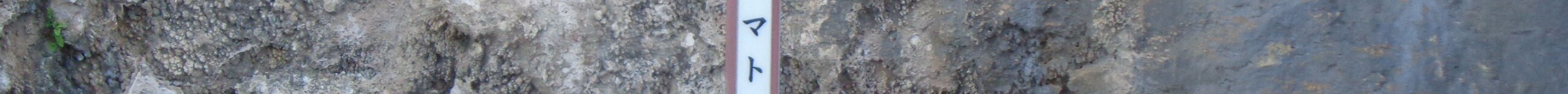 Yamatobu Oiwa旅游景点图片