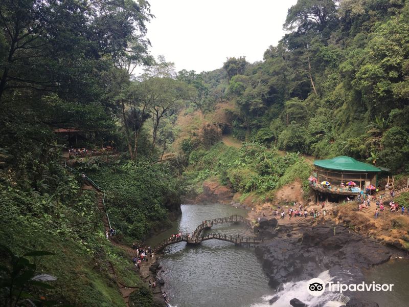 Dambri Waterfall旅游景点图片