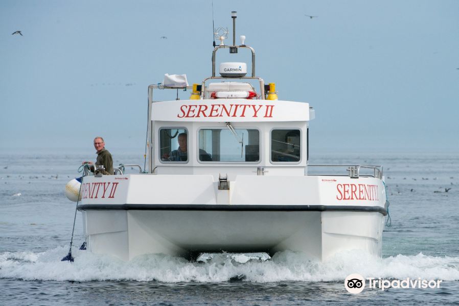 Serenity Farne Island Boat Tours旅游景点图片