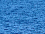 沉睡湾