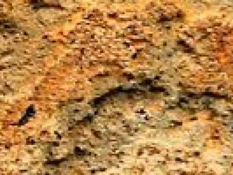 Lomo de Fajana