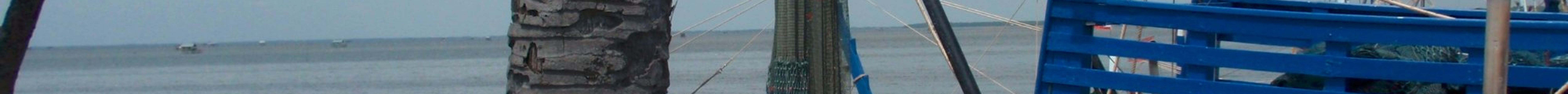 Phli Port Fishing Market