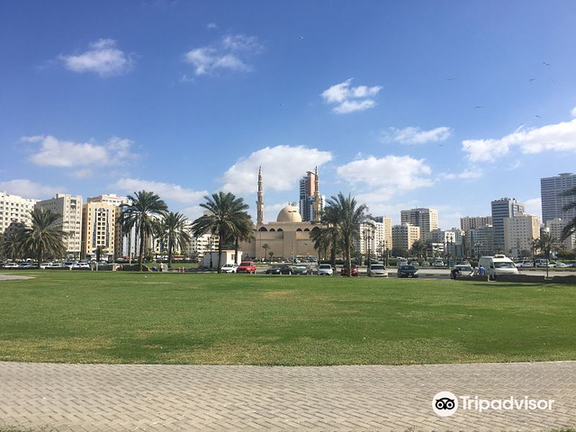 法萨尔王清真寺