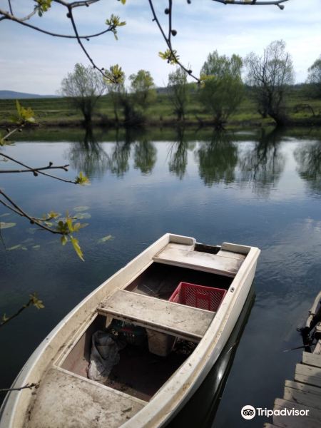 Nature Park Hutovo Blato旅游景点图片