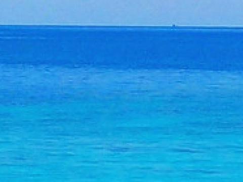 Turtle Sanctuary Beach