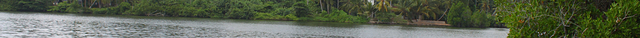 Lagoon Herbal Garden