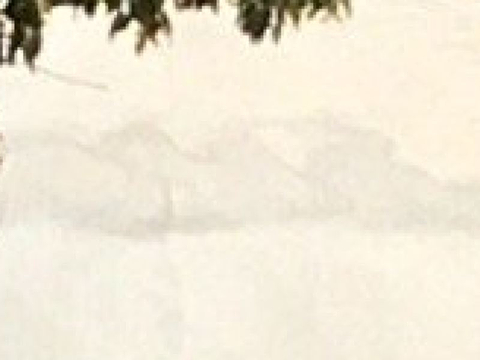 丰岛美术馆