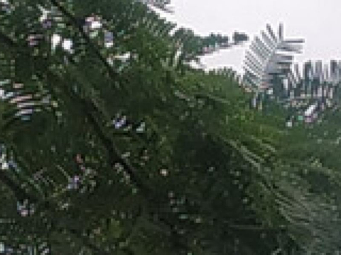 塔甘加旅游图片