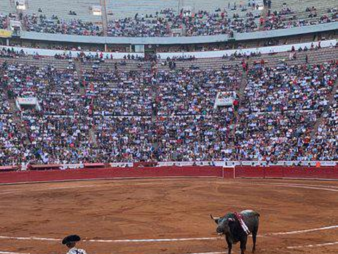 Plaza Mexico旅游景点图片