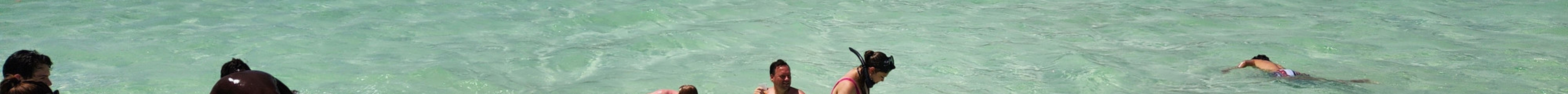 Neal Watson's Bimini Scuba Center