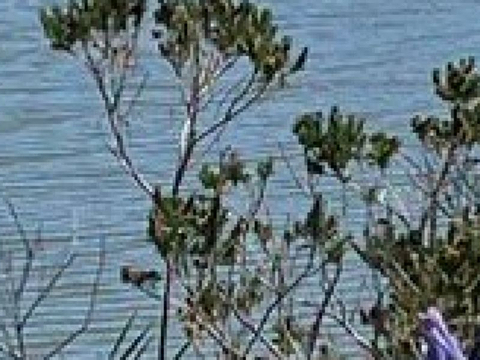 诺尔赫克旅游图片