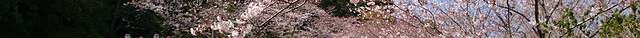 Shiroyama Park