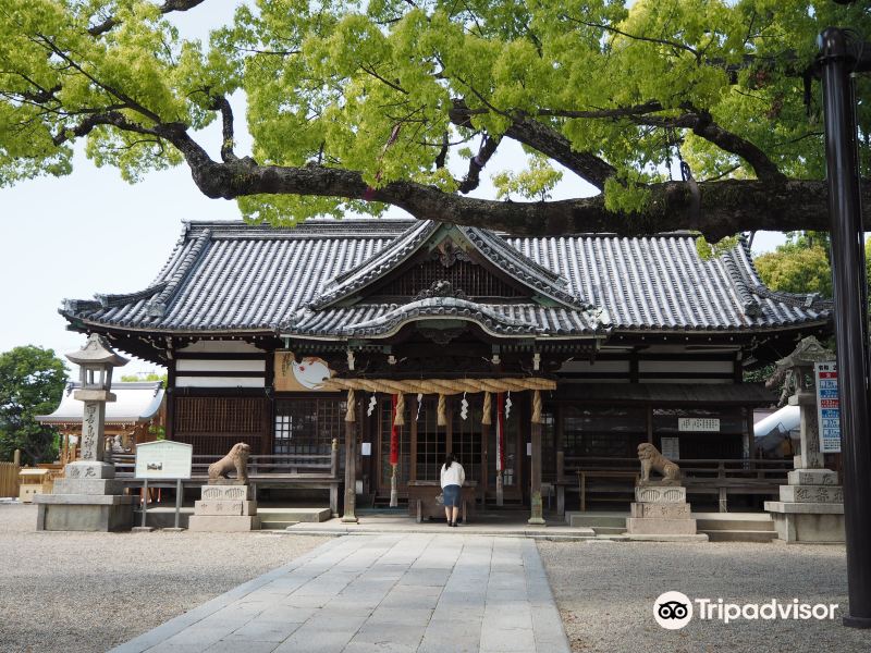 Mozu Hachimangu Shrine旅游景点图片