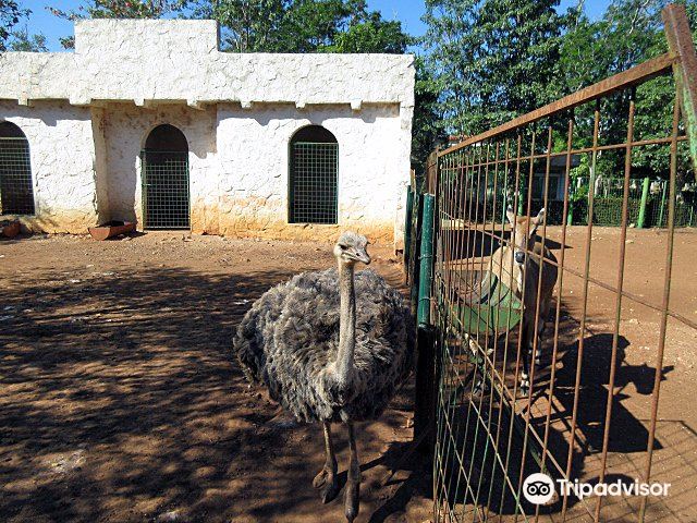 Complejo Parque Zoológico Ciego de Ávila