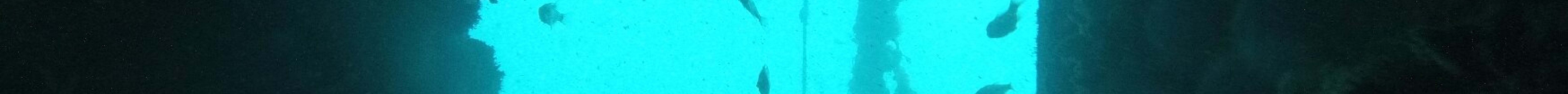 Koh Chang Divers