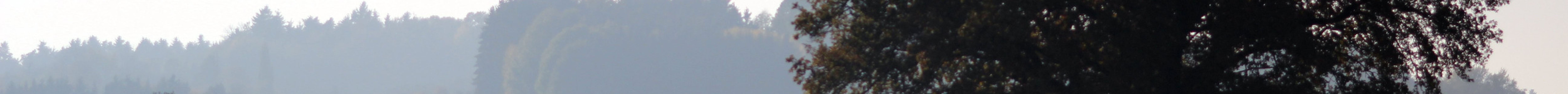 Engel Naturbrennerei