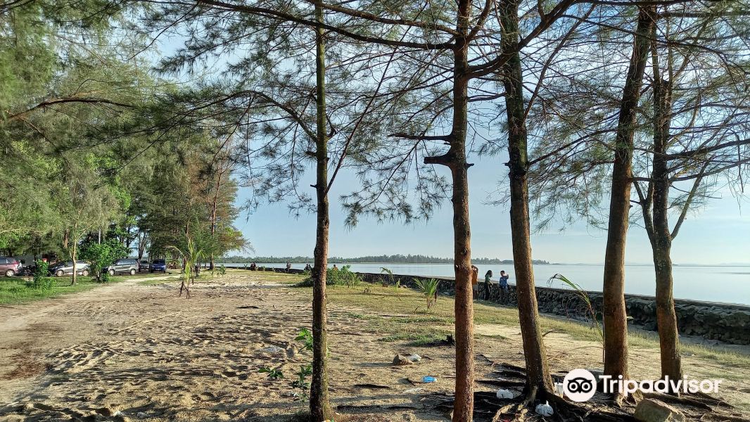 Tanjung Pendam Beach旅游景点图片