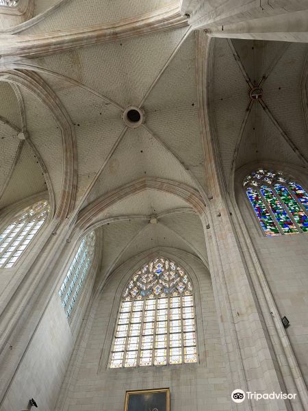 Basilique Notre-Dame旅游景点图片