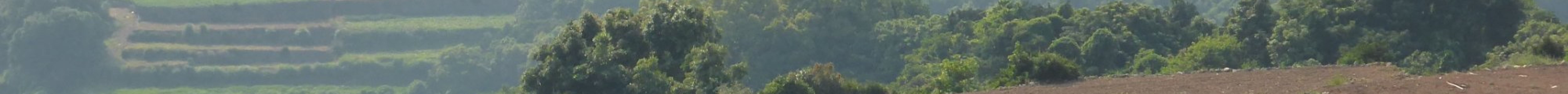 南串山棚畑展望台旅游景点图片