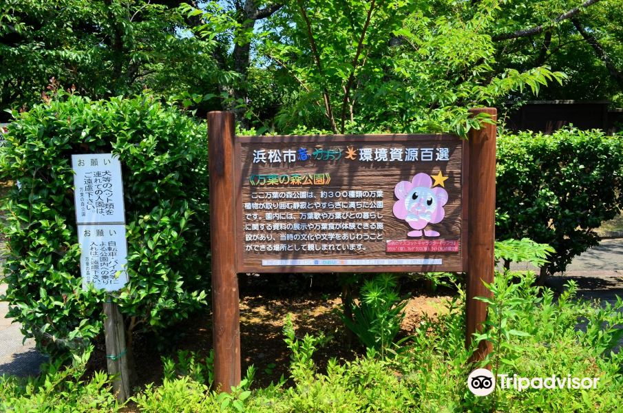 Manyo Forest Park旅游景点图片