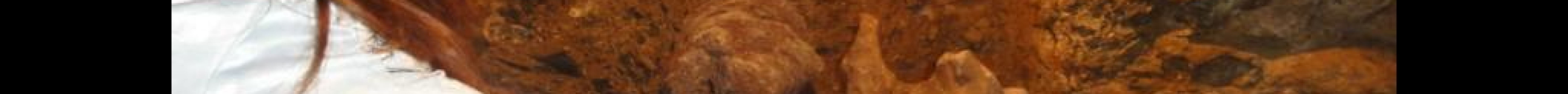 Silver Museum (Museo de la Plateria)旅游景点图片