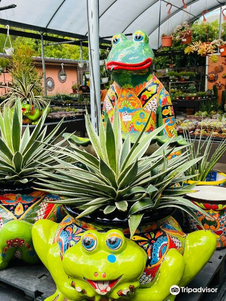 Butterfly Pavilion at Flamingo Road Nursery旅游景点图片