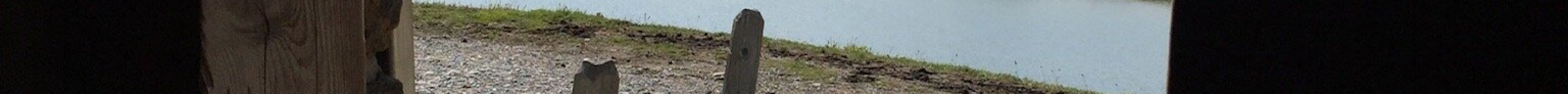 巴查尔普湖旅游景点图片