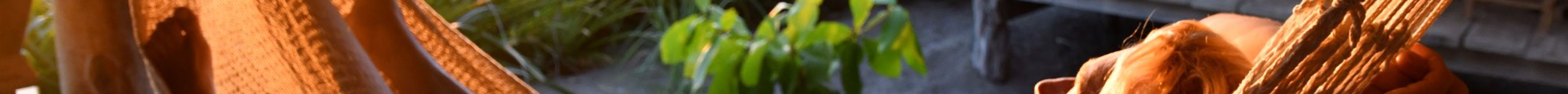 Shell Beach Surf Shop