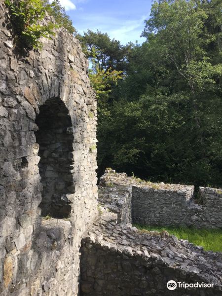 Weissenau Castle旅游景点图片