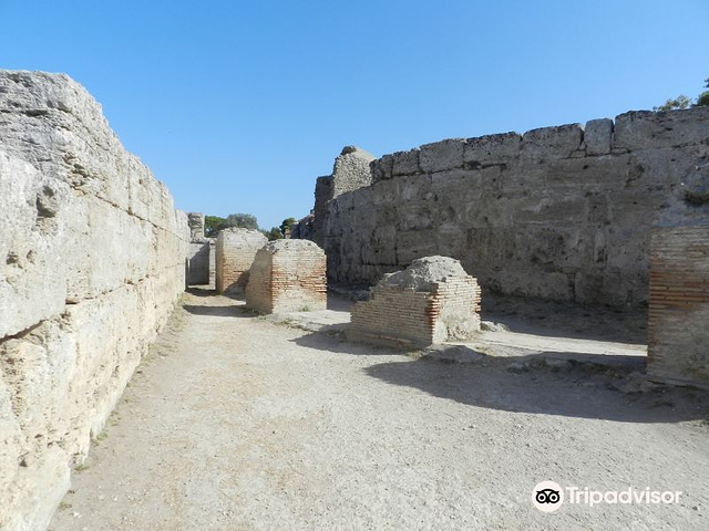 Amphitheatre of Paestum