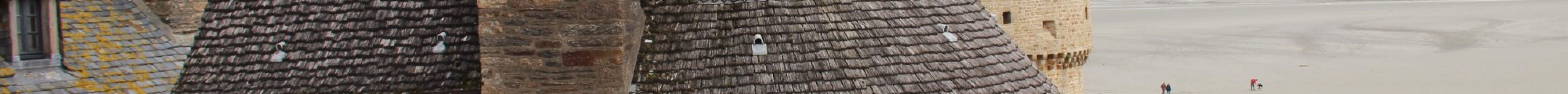 Tour de L'Arcade旅游景点图片