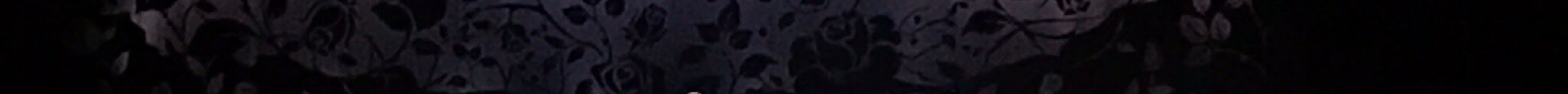 维也纳音乐厅旅游景点图片