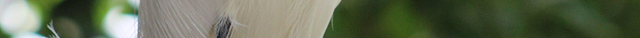 National Aviary