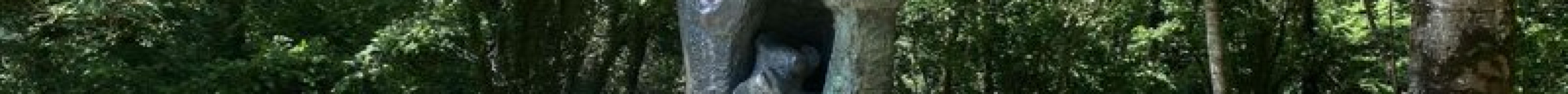 Centro Btt Valles del Oso