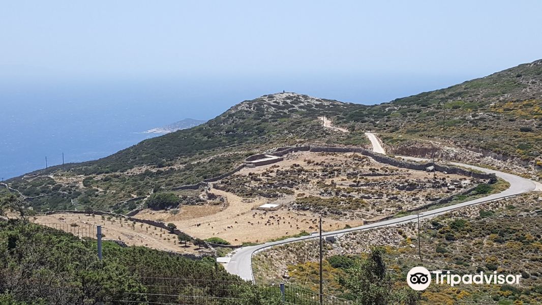 Agios Andreas Acropolis & Museum旅游景点图片