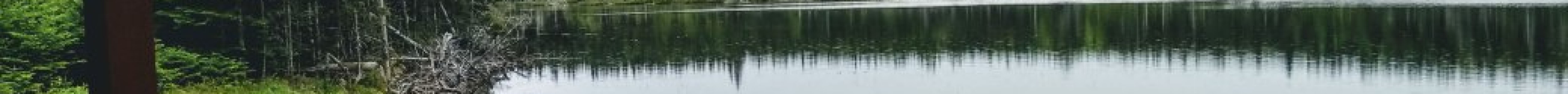 Boylston Provincial Park旅游景点图片