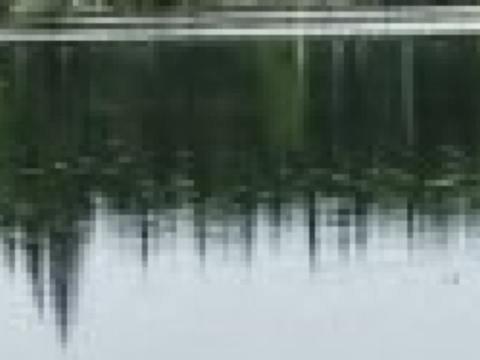 Boylston Provincial Park的图片