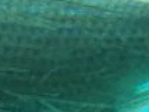 部濑名海中公园的图片