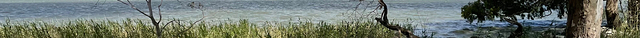 Lake Burrumbeet