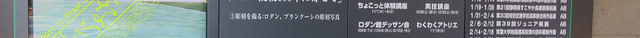 静冈县立美术馆