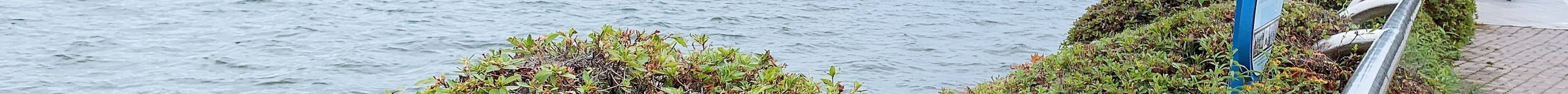 一山湖水公园旅游景点图片
