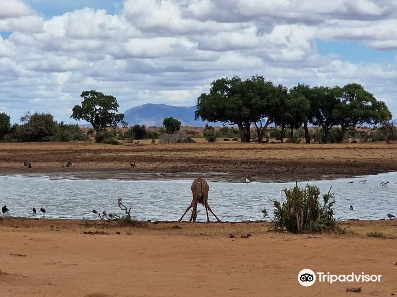 Glorious Safaris旅游景点图片