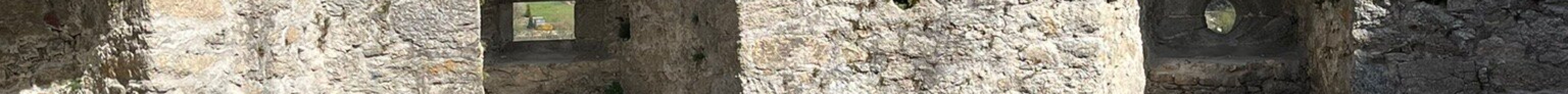 Burgruine Waxenberg旅游景点图片