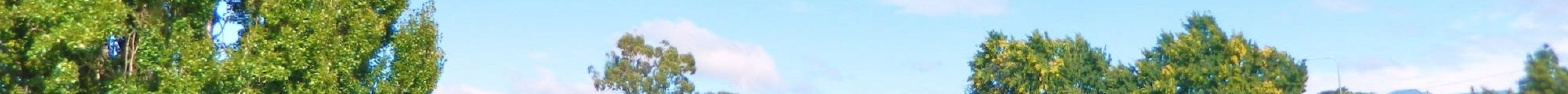 里士满桥旅游景点图片