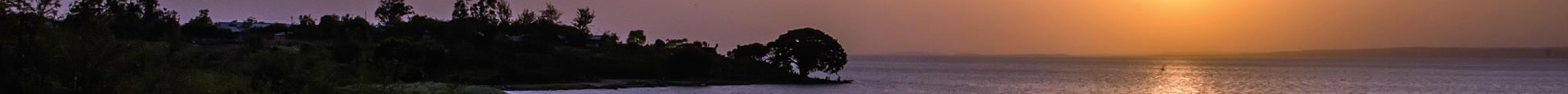 Dunga Bay旅游景点图片