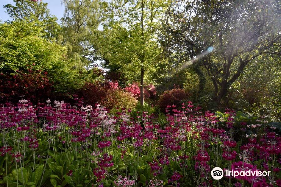 Furzey Gardens旅游景点图片