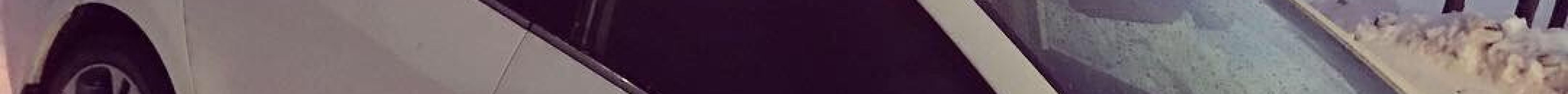 The Birdhouse Nature Store