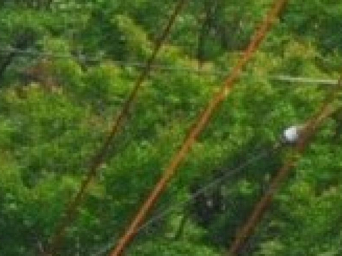 箱根登山铁道
